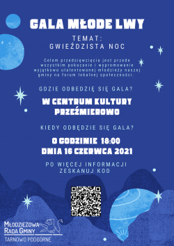 Gala Młode Lwy - plakat. Temat: Gwieździsta Noc.