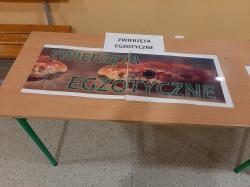 Uczniowie SP1 biorący udział w zajęciach podczas Nocy Naukowców.