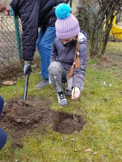 Międzynarodowy Dzień Lasów 2021 - uczniowie SP1 sadzący drzewka.