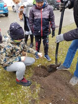 Międzynarodowy Dzień Lasów 2021 - uczniowie SP1 sadzący drzewka.