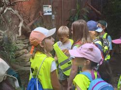 Fotorelacja z I turnusu półkolonii letnich w SP1 - stare zoo w Poznaniu.