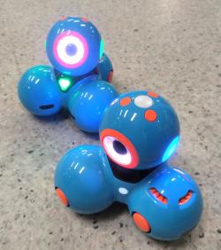 Roboty edukacyjne Luka i Muka.